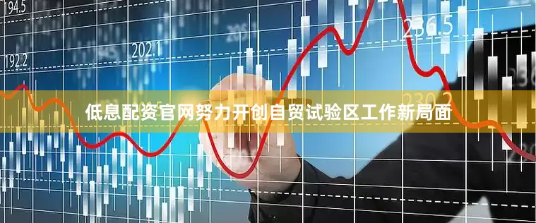 低息配资官网努力开创自贸试验区工作新局面
