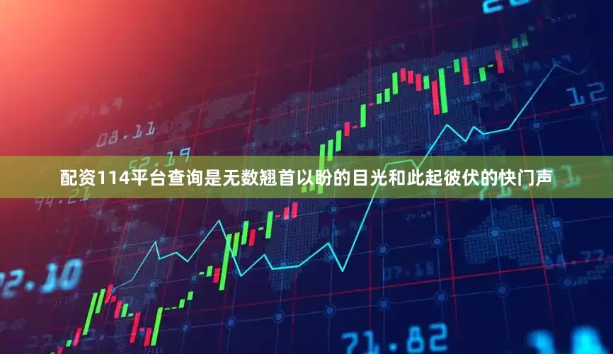 配资114平台查询是无数翘首以盼的目光和此起彼伏的快门声