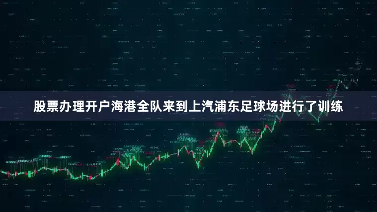 股票办理开户海港全队来到上汽浦东足球场进行了训练