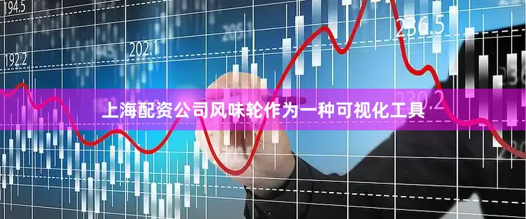 上海配资公司风味轮作为一种可视化工具